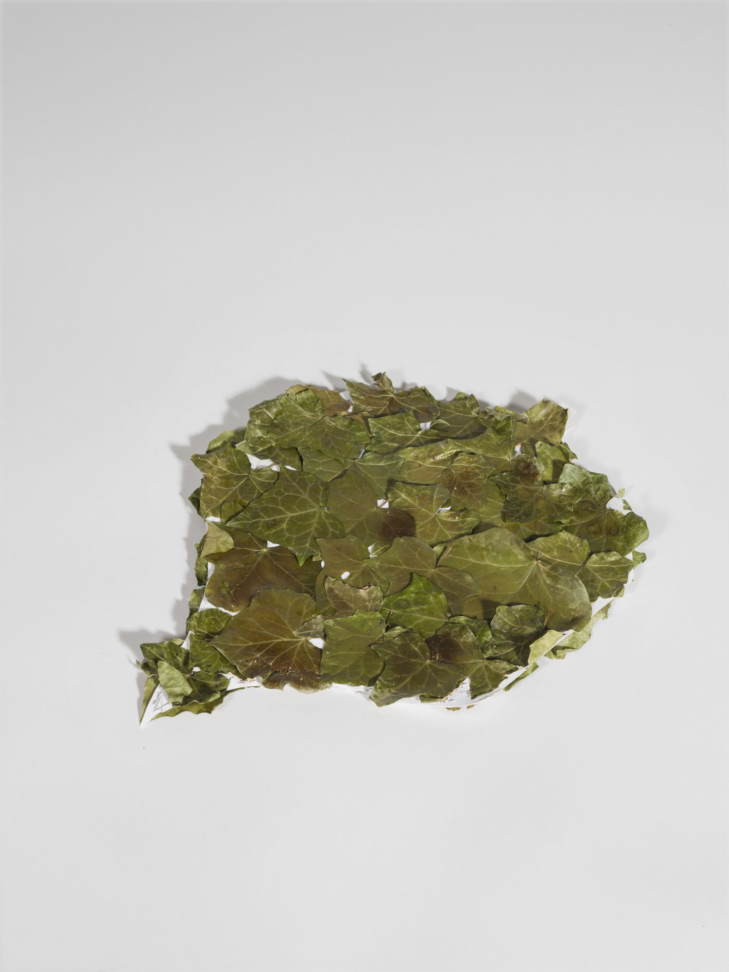 Pierre, feuille, ciseaux - image 4